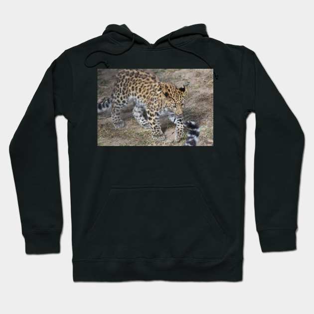 Leopard Cub Hoodie by MarieDarcy